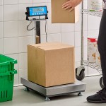 AvaTek BS150TX 150 lb. Digital Receiving Bench Scale with Tower Display, Legal for Trade