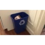 Rubbermaid® FG295773BLUE BRUTE 41 Qt. / 10.25 Gallon Blue Recycling Rectangular Wastebasket