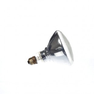 Giles 20088 Lamp 150w/250v