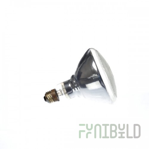 Giles 20088 Lamp 150w/250v