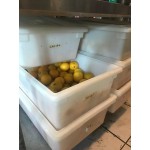 Carlisle 10624C14 StorPlus Blue Food Storage Box - 26