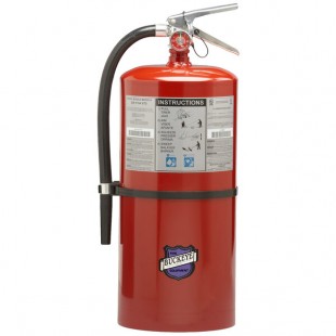 Buckeye 30 lb. Purple K Dry Chemical Fire Extinguisher with Brass Valve and Wall Mount - Rechargeable Untagged - UL Rating 160-B:C