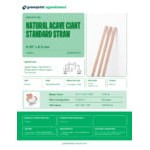 Greenprint 8 1/4 Greenprint 8 1/4