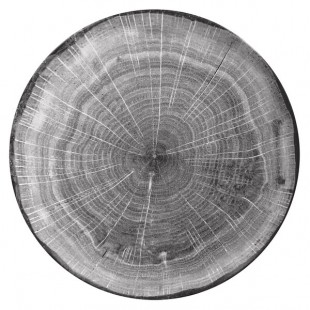 RAK Porcelain Woodart 9 1/2