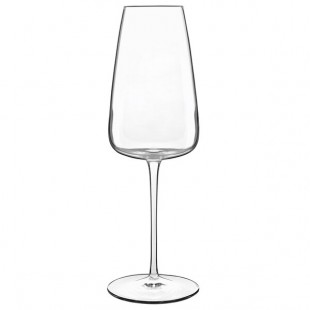 Luigi Bormioli I Meravigliosi from BauscherHepp 13.5 oz. Champagne Flute - 24/Case