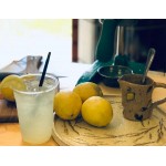 Garde MCJ-1 Heavy-Duty Manual Commercial Citrus Juicer