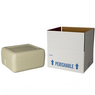 Insulated Shipping Box with Biodegradable Cooler 12 1/4