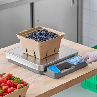 AvaTek RSB250SS 250 lb. Digital Receiving / Portion Scale with Built-In Handle