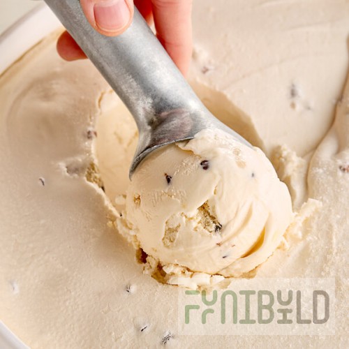 Klein's Real Kosher Vegan Cookie Dough Ice Cream 3 Gallon