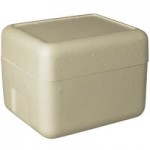 Insulated Shipping Box with Biodegradable Cooler 11 3/8