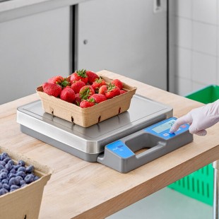 AvaTek RSB50SS 50 lb. Digital Receiving / Portion Scale with Built-In Handle