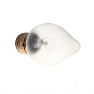Federal Industries 42-19089 Bulb