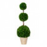 Mills Floral Company 40