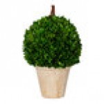 Mills Floral Company 40