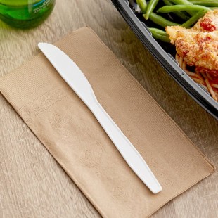Choice White Heavy Weight Polypropylene Plastic Knife - 1,000/Case