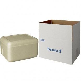 Insulated Shipping Box with Biodegradable Cooler 11 3/8