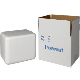 Insulated Shipping Box with Foam Cooler 8 5/8 Insulated Shipping Box with Foam Cooler 8 5/8
