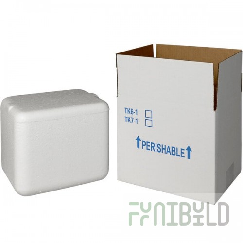 Insulated Shipping Box with Foam Cooler 8 5/8