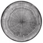 RAK Porcelain Woodart 8 1/4 RAK Porcelain Woodart 8 1/4
