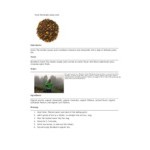 Davidson's Organic Green Tea Garden Loose Leaf Tea 1 lb. Davidson's Organic Green Tea Garden Loose Leaf Tea 1 lb.