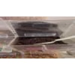 Nabisco Oreo Small Cookie Pieces 25 lb. Nabisco Oreo Small Cookie Pieces 25 lb.