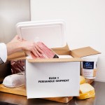 Nordic TL-1187K Insulated Shipping Box with Polystyrene Cooler 11
