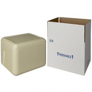 Insulated Shipping Box with Biodegradable Cooler 11 1/8