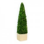 Mills Floral Company 3-Piece Preserved Potted Boxwood Balls Mills Floral Company 3-Piece Preserved Potted Boxwood Balls