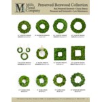 Mills Floral Company 3-Piece Preserved Potted Boxwood Balls Mills Floral Company 3-Piece Preserved Potted Boxwood Balls