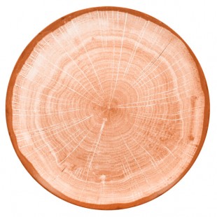 RAK Porcelain Woodart 8 1/4