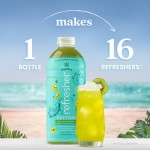 Smartfruit Restore Kiwi / Mint / Lemongrass Refresher Beverage 1:1 Concentrate 48 fl. oz. - 6/Case