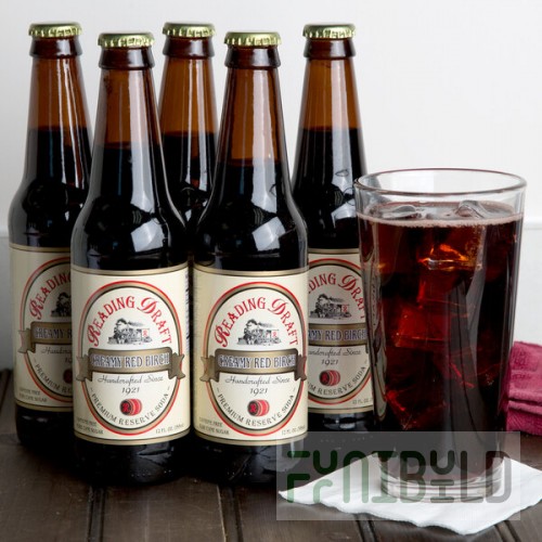 Reading Soda Works Creamy Red Birch 12 fl. oz. - 12/Case