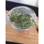 Cambro 1 Qt. Clear Round Polycarbonate Food Storage Container Lid