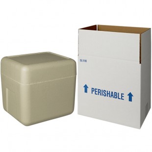 Insulated Shipping Box with Biodegradable Cooler 11 1/8