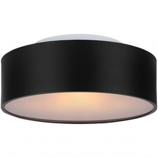Canarm Dexter Modern Matte Black Semi-Flush Mount Light with Frosted Glass - 120V, 60W