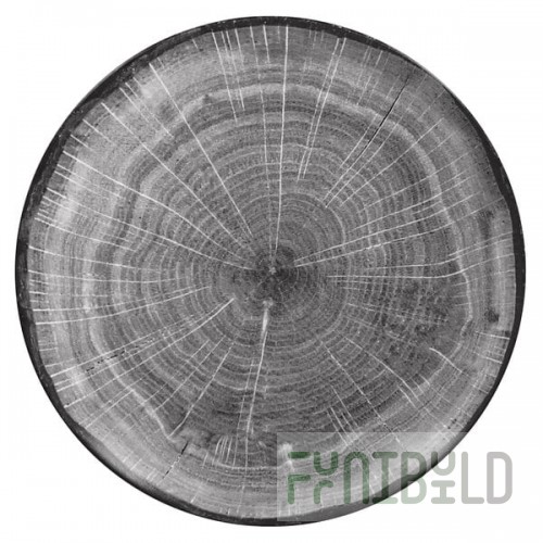 RAK Porcelain Woodart 8 1/4