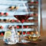 Chef & Sommelier J9014 Reveal' Up 19.5 oz. Intense Wine Glass by Arc Cardinal - 24/Case