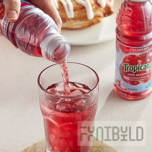 Tropicana® Cranberry Juice Cocktail 10 fl. oz. - 24/Case