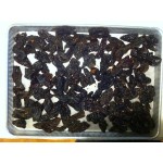 Thunder Group Half Size 16 Gauge Glazed 13