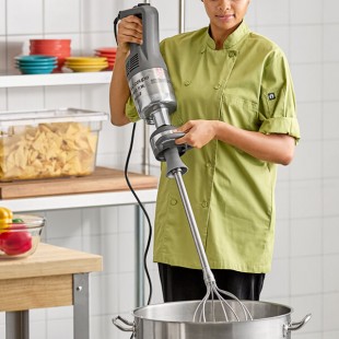 Robot Coupe MP450XLFW Turbo Variable Speed Immersion Blender with 27