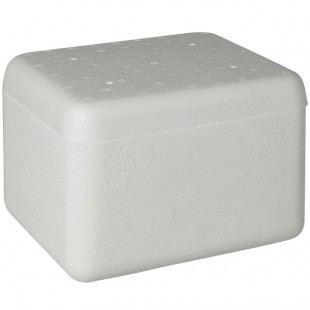Insulated Foam Cooler 9 5/8