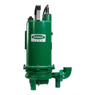 Ashland Pump AGPR200WP2-35 1 1/4