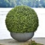 Mills Floral Company 28
