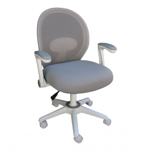Boss Gray Mesh / Fabric Mid-Back Ergonomic Task Chair with Flip-Up Arms and White Frame Boss Gray Mesh / Fabric Mid-Back Ergonomic Task Chair with Flip-Up Arms and White Frame