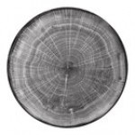 RAK Porcelain Woodart 5 7/8