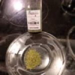 Regal Cilantro - 1 oz. - 12/Case Regal Cilantro - 1 oz. - 12/Case