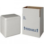 Insulated Foam Cooler 9 5/8