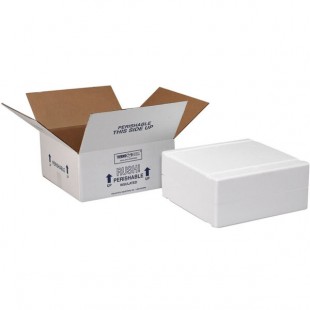 Polar Tech Thermo Chill White Insulated Catering Pan Shipping Box with Foam Container 23 1/8