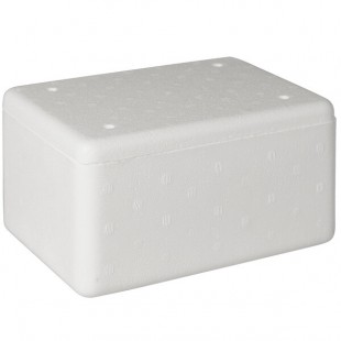Insulated Foam Cooler 9 1/4