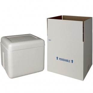 Insulated Shipping Box with Foam Cooler 12